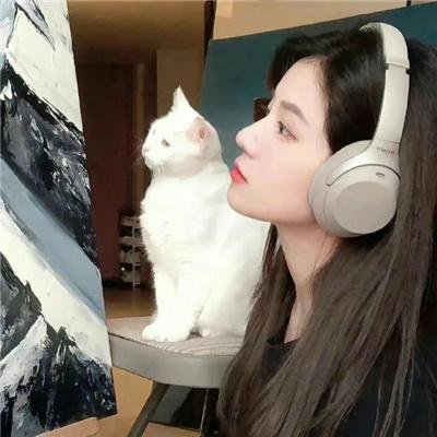 飞鹰人